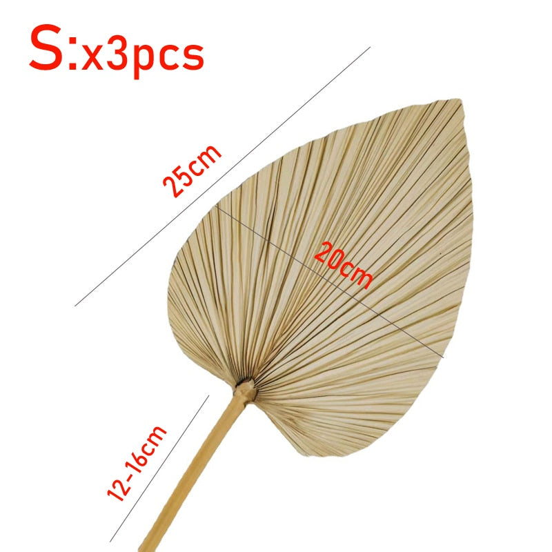 Large Dried Palm Leaves 3 PCS