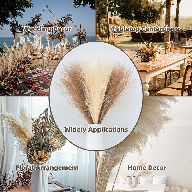 Fluffy Pampas Grass