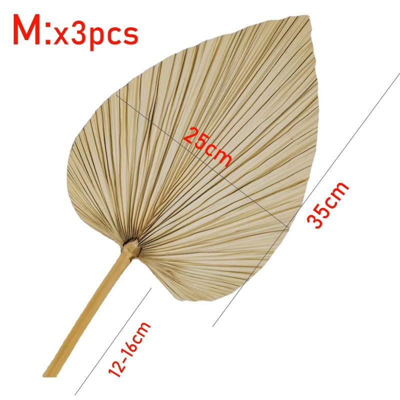 Large Dried Palm Leaves 3 PCS