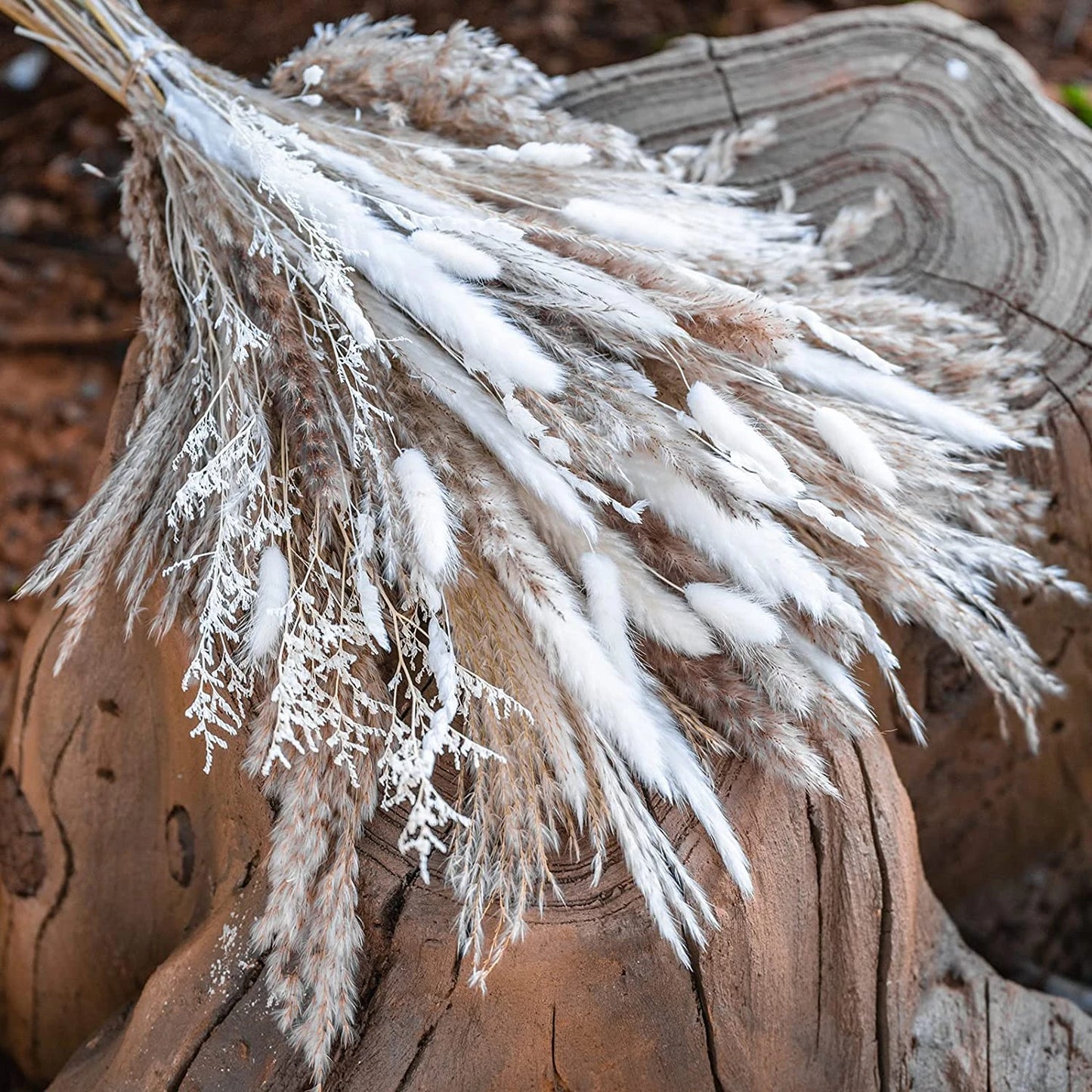 80 PCS Natural Dried Pampas Grass Bouquet