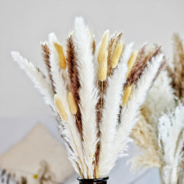 80 PCS Natural Dried Pampas Grass Bouquet