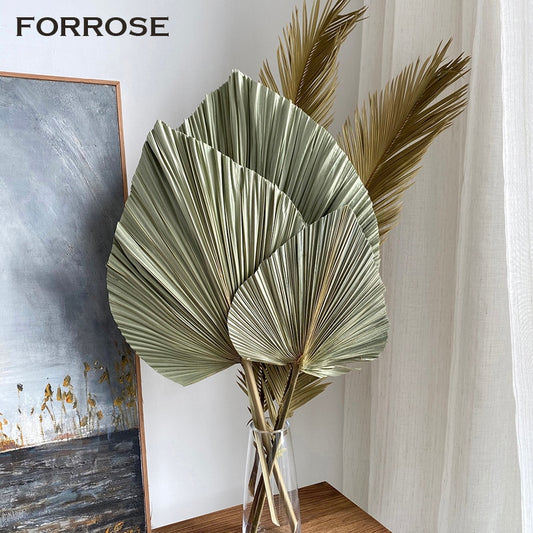 Large Dried Palm Leaves 3 PCS