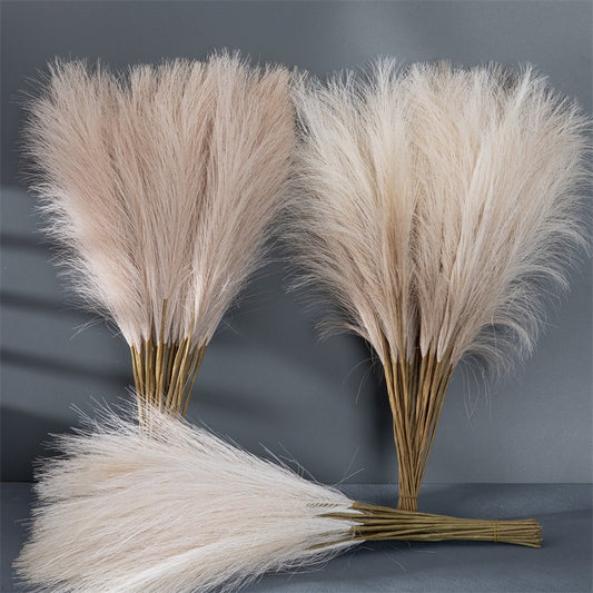 Fluffy Pampas Grass